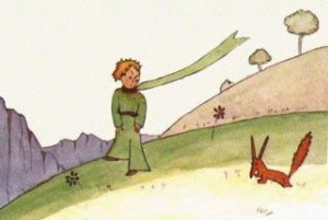 le petit prince & renard